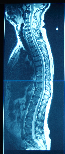 pp0e273bec.png